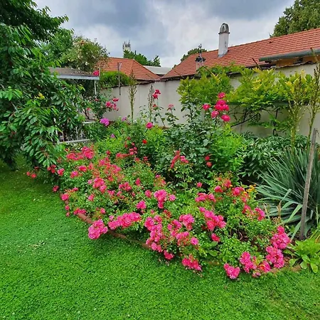 Siofok, Balaton 4 아파트